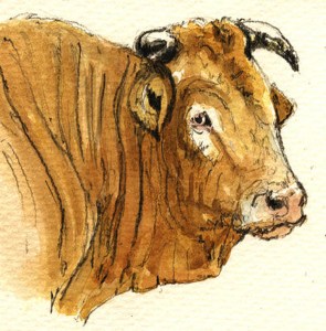 %cf%84%ce%bf-%ce%b3%ce%ad%cf%81%ce%b9%ce%ba%ce%bf-%ce%b2%cf%8c%ce%b4%ce%b9-2