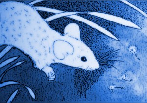 %cf%80%ce%bf%ce%bd%cf%84%ce%b9%ce%ba%ce%ac%ce%ba%ce%b9